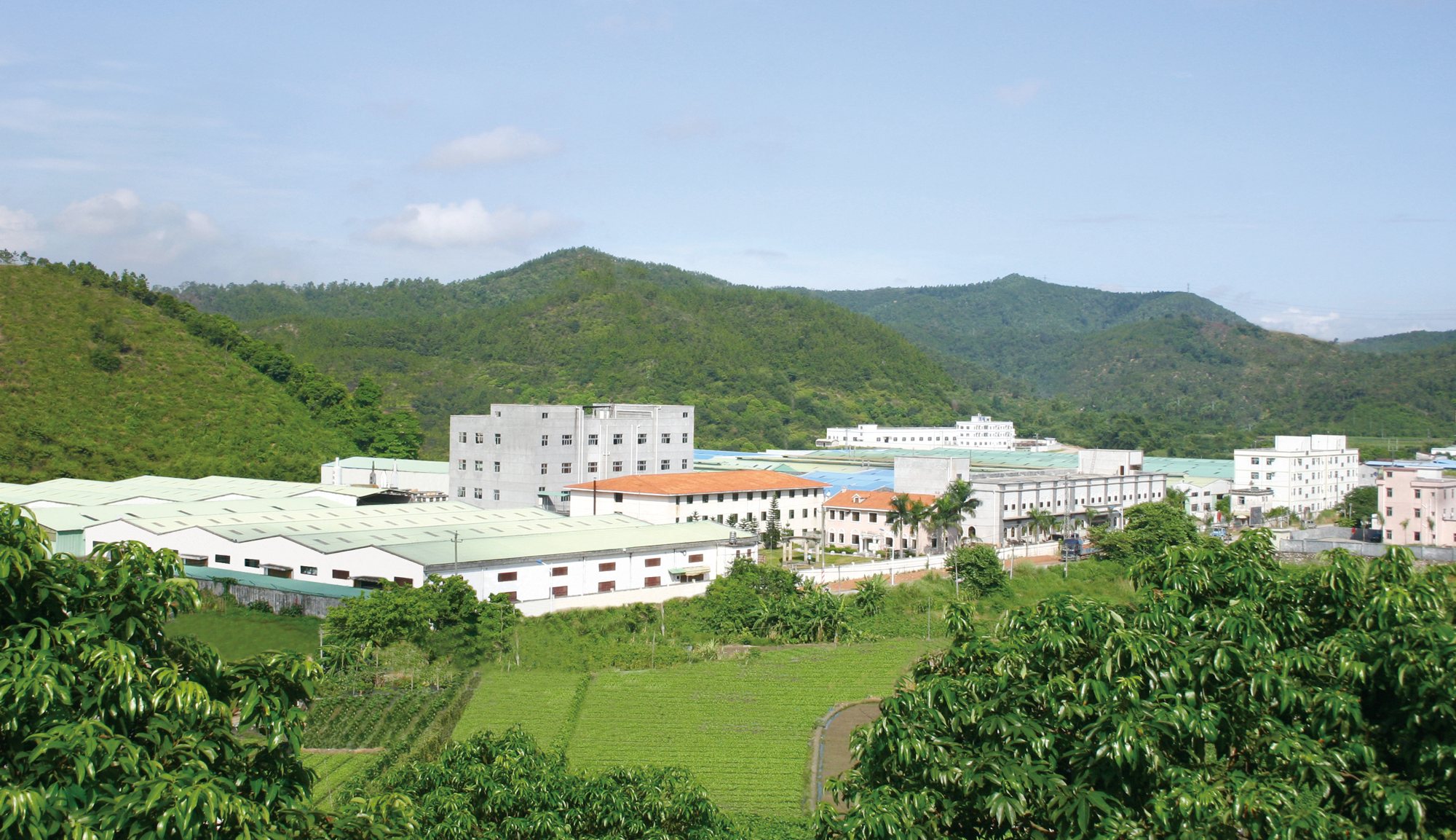 山谷中的仕華工廠廠區全景